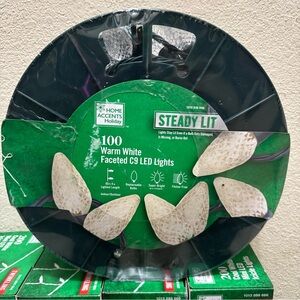 Warm White C9 LED String Lights